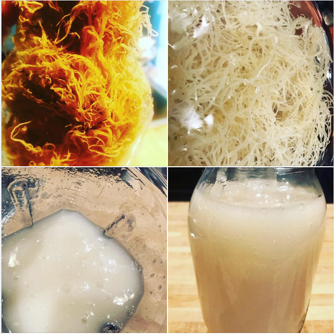 100% Organic Wildcrafted Sea Moss Gel