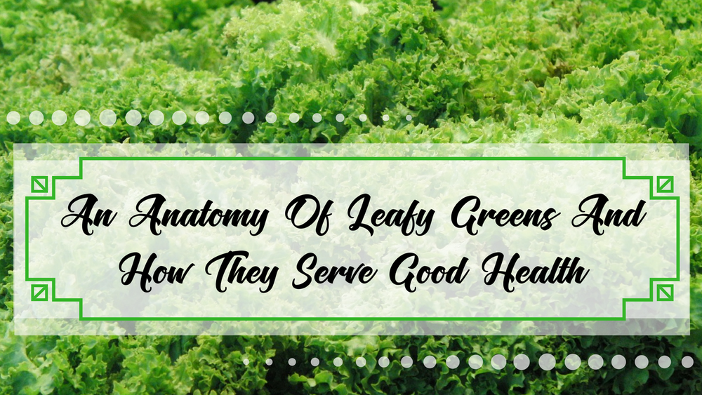 An Anatomy Of Leafy Greens And How They Serve Good Health